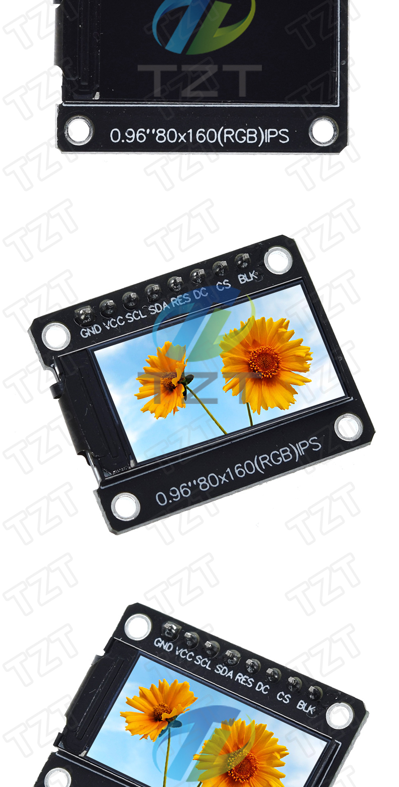 sImg8_526cxte8.jpg